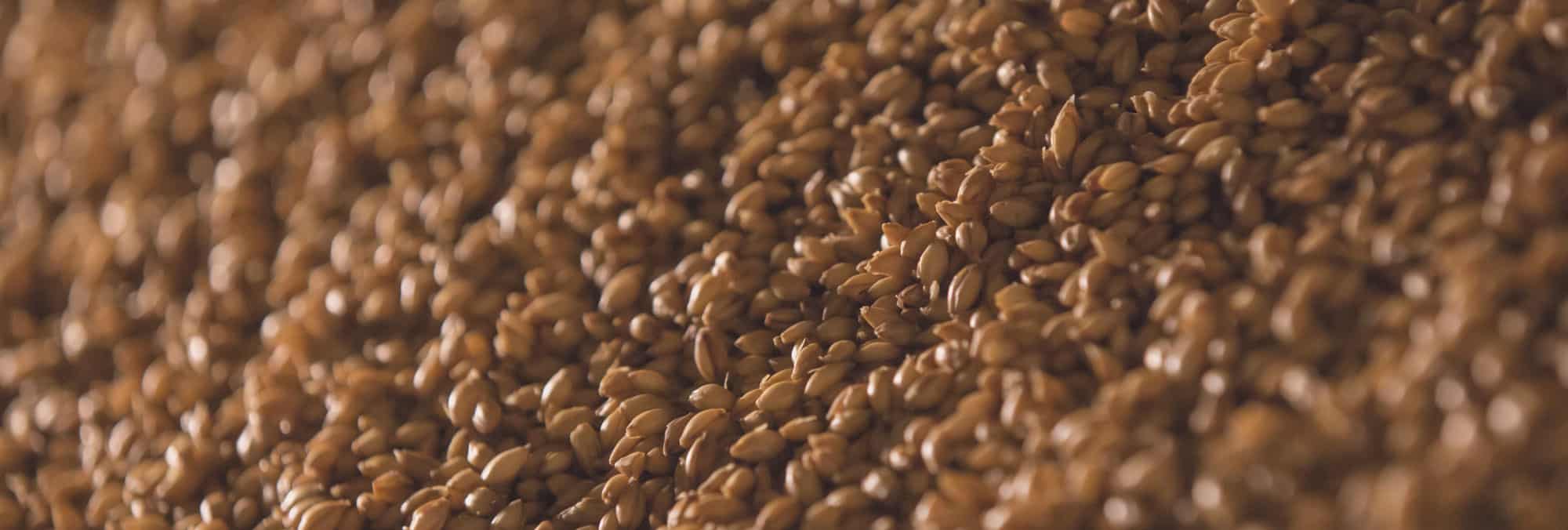 在锤式粉碎机物料搬运中增加一个除尘器可以防止可燃粉尘火灾。